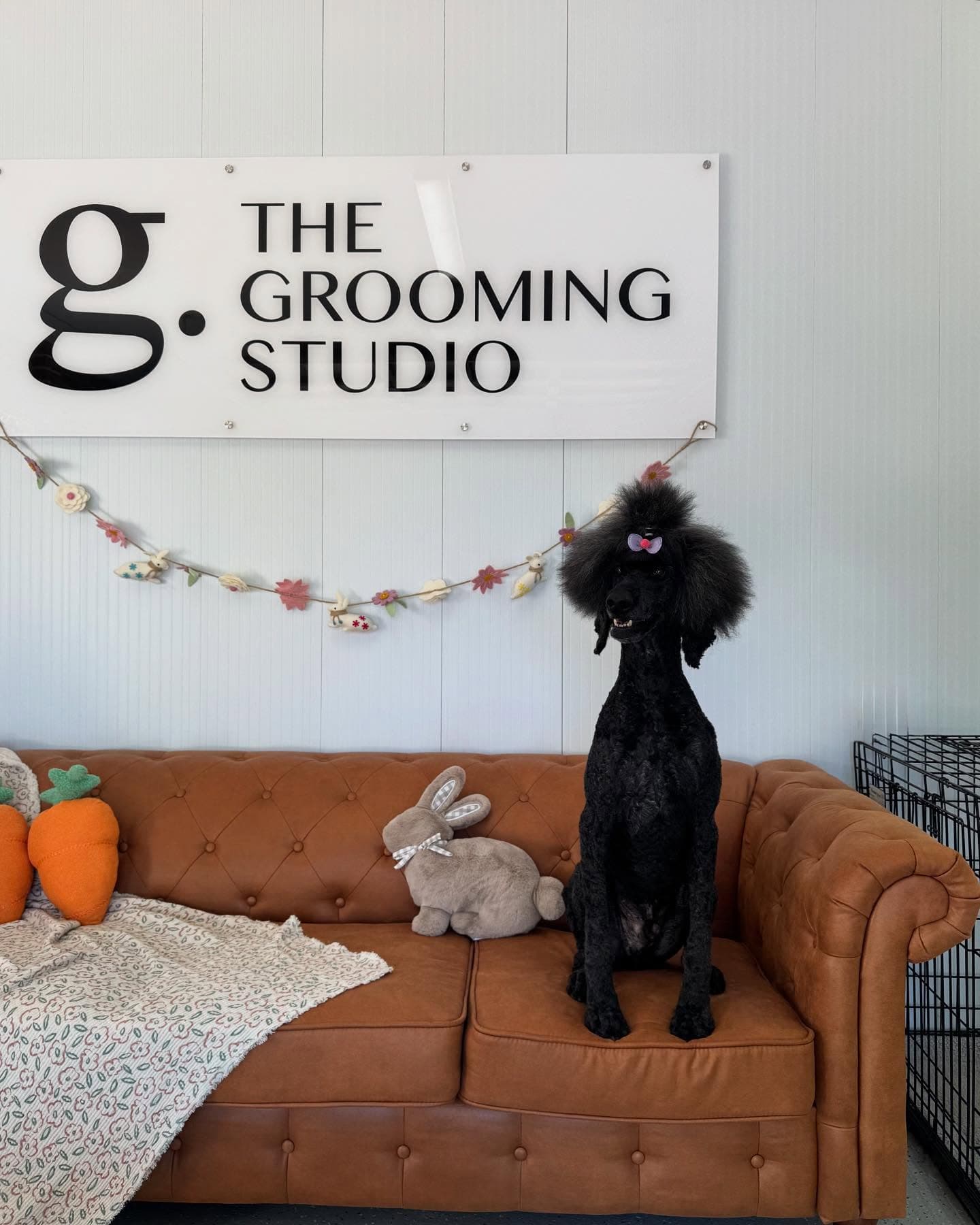 Grooming by Shannon
