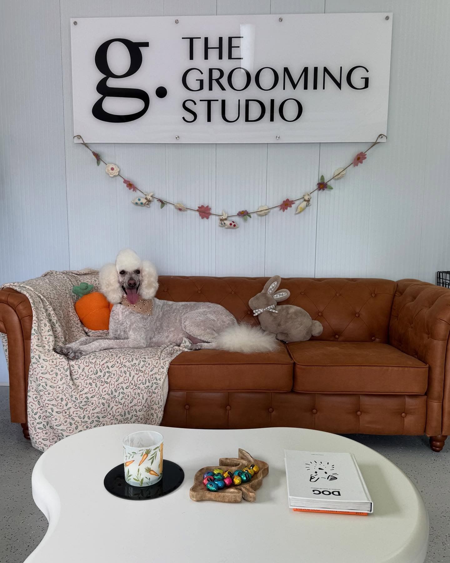 Grooming by Shannon