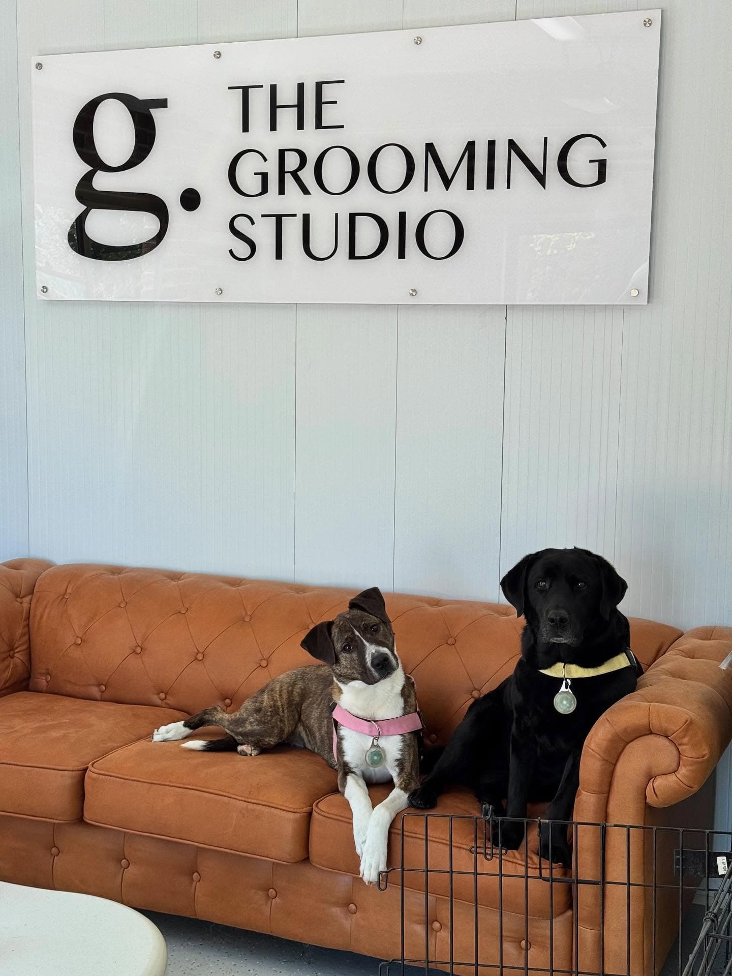 Grooming by Shannon
